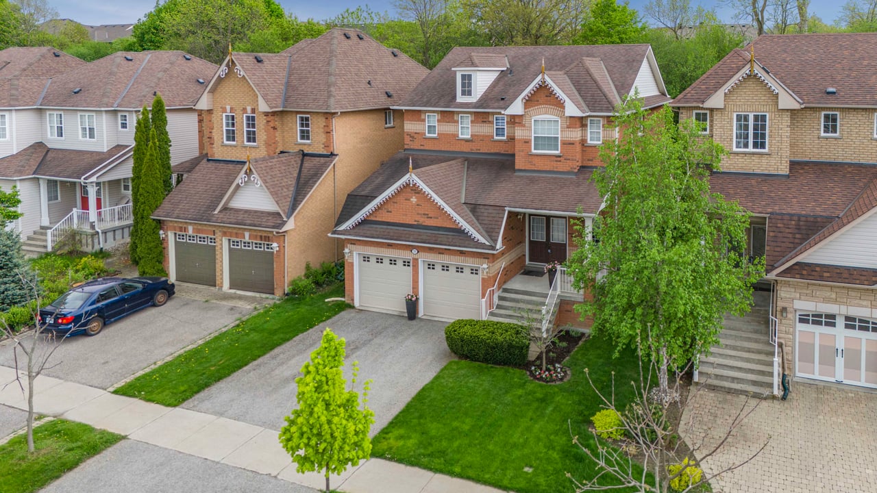 English Oak Oak Ridges