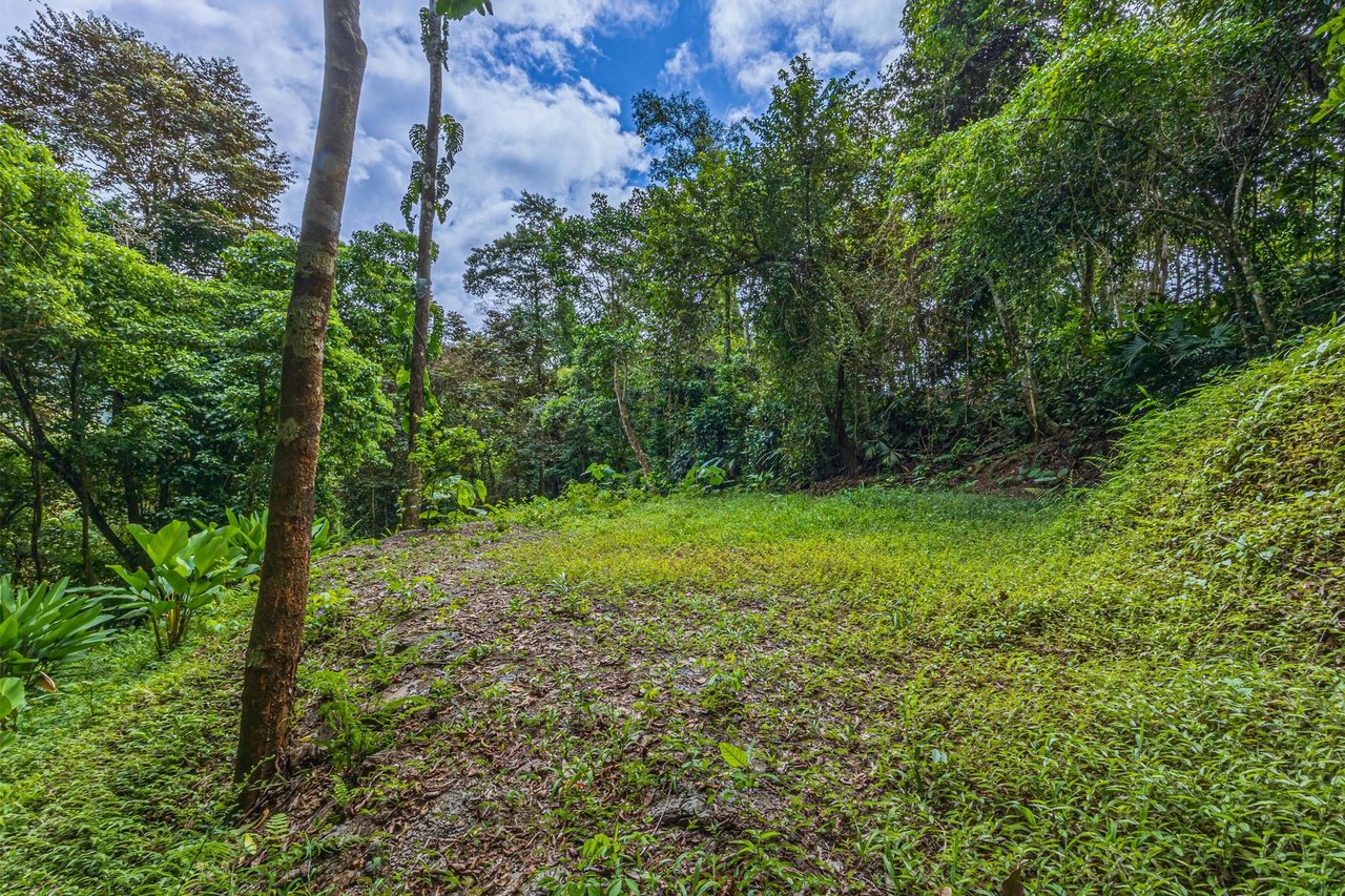 Private Ocean View Development Lot, Dominical, Puntarenas