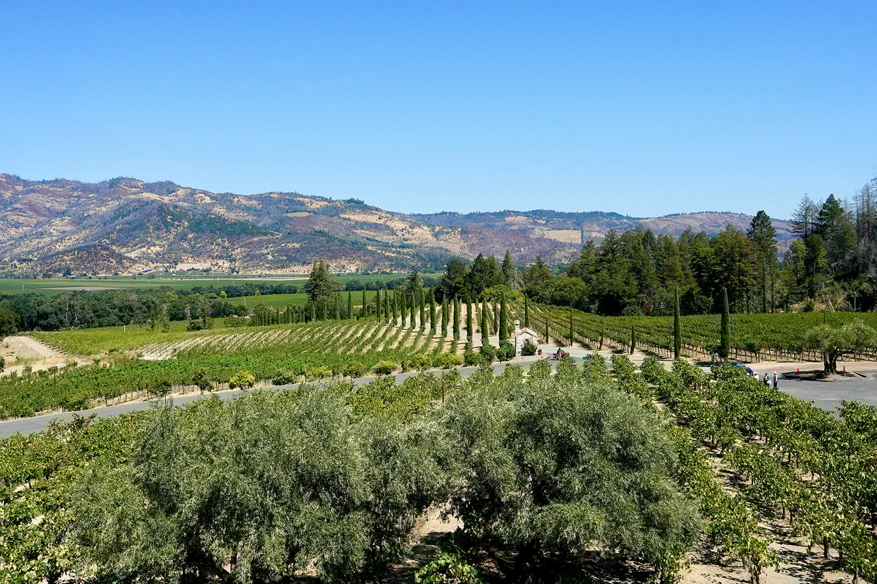 Calistoga