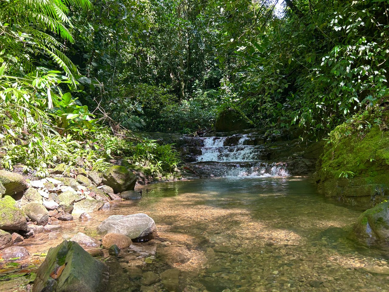 Selva Vista Estate – 5.9 Acres of Wild Beauty