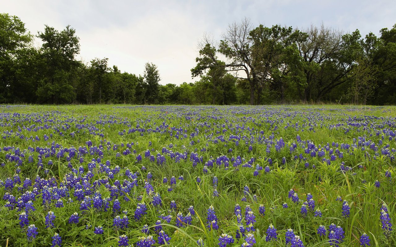 Cleburne