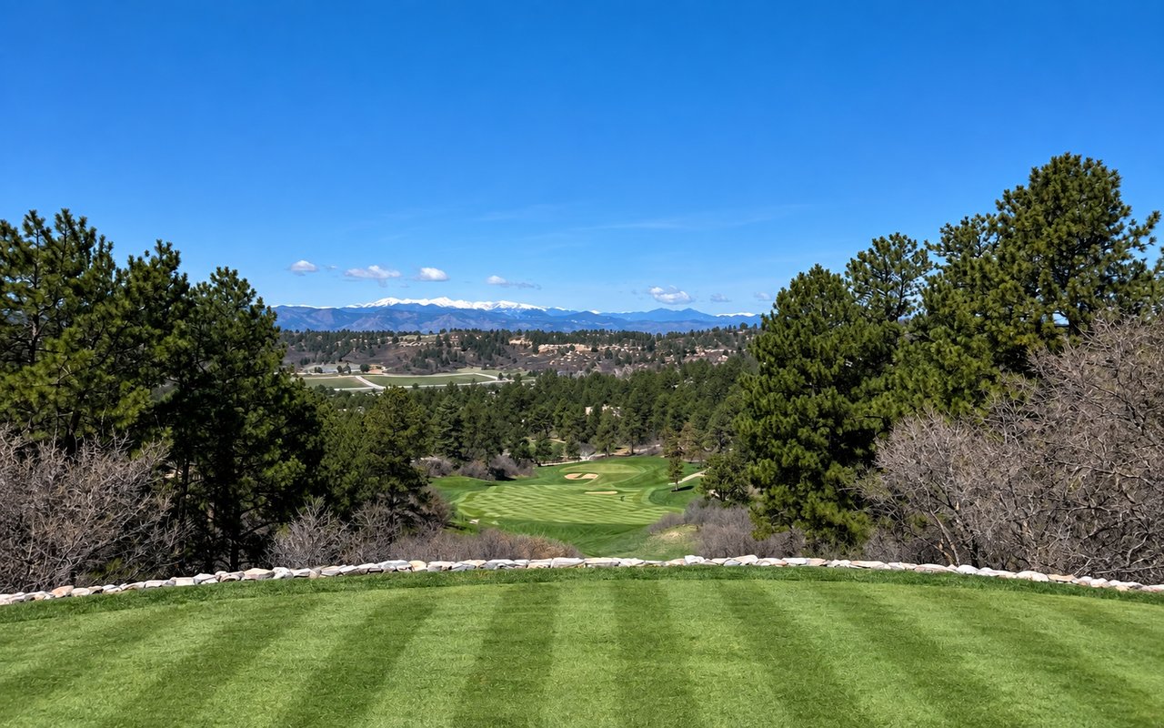 Mountain golf course framed by pine trees, with snow-capped peaks on the horizon.