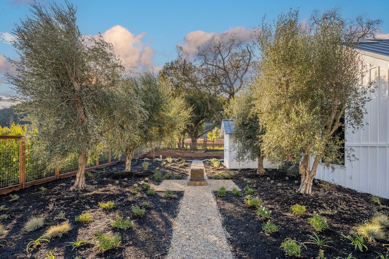 Darms Lane, Napa Valley