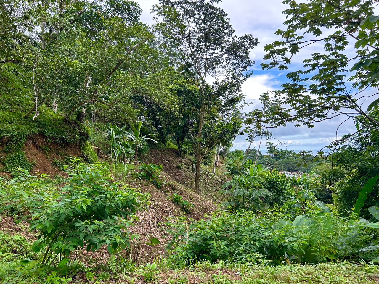 Ocean View Property in Playa Hermosa - Over 1 Acre