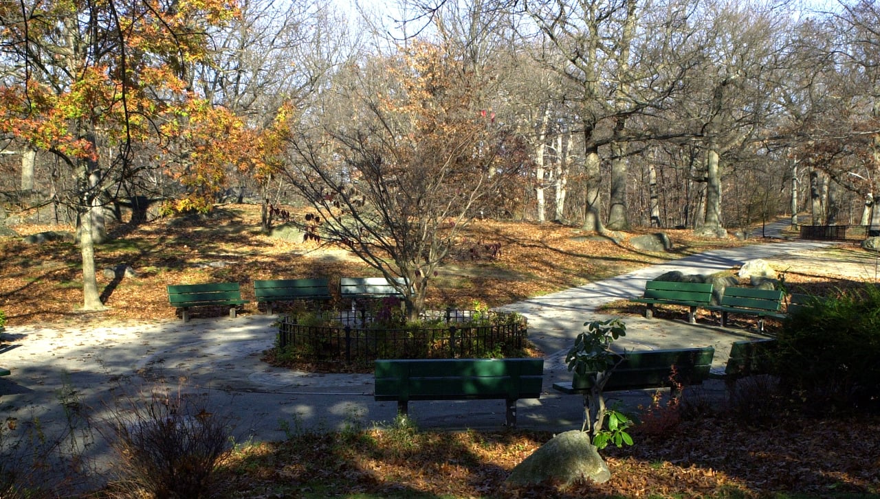 Dorchester Kid & Pet Friendly Places