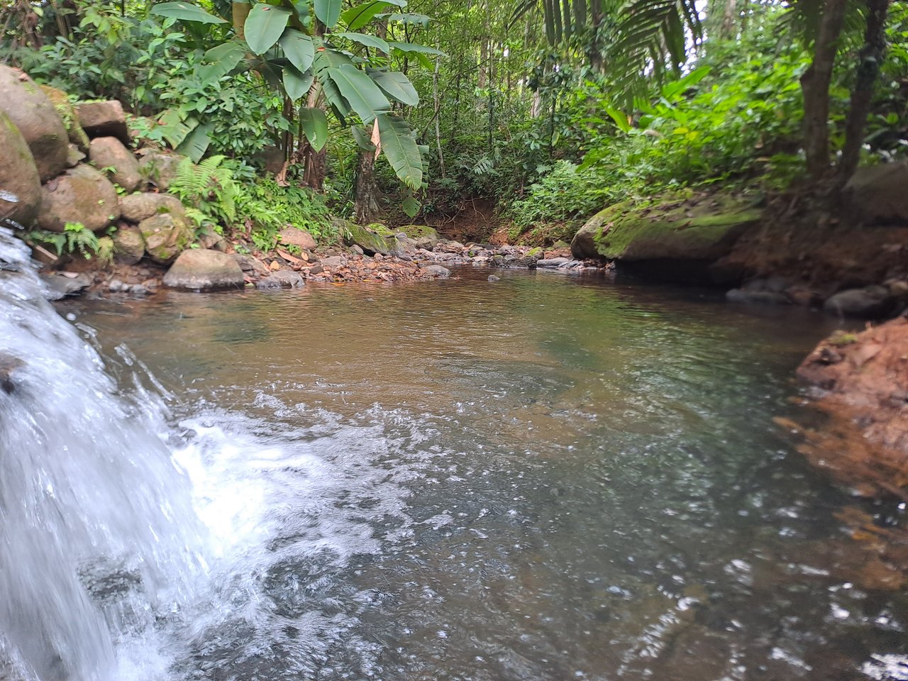 Serene Jungle Home + Guest Cabin on 3 Acres and River