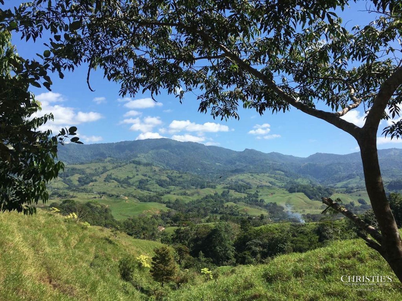El Encanto Estate Waterfall, Regenerative Land & Carbon‑Neutral Sanctuary a Legacy Property