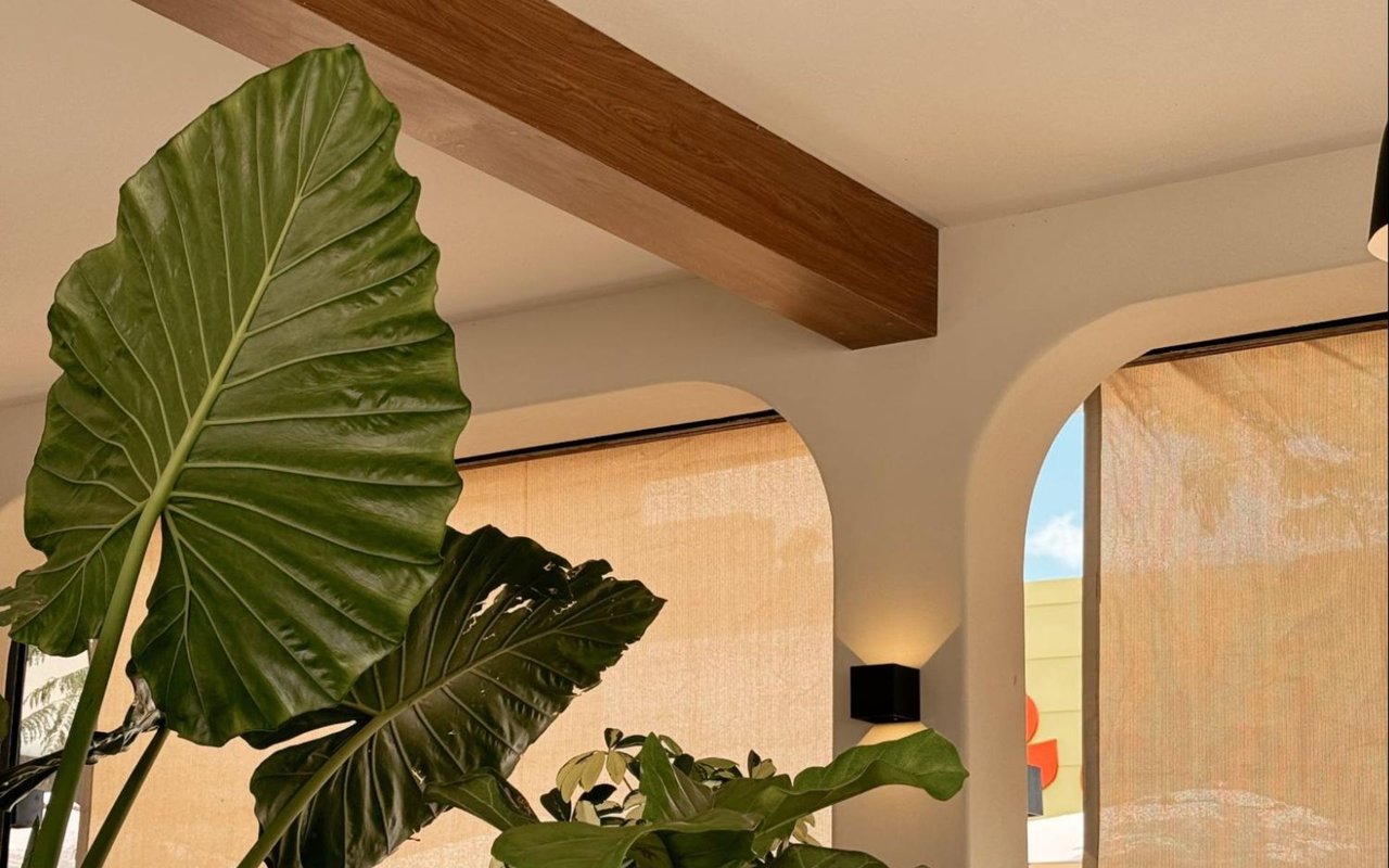 How to Improve the Air Quality of Your Home