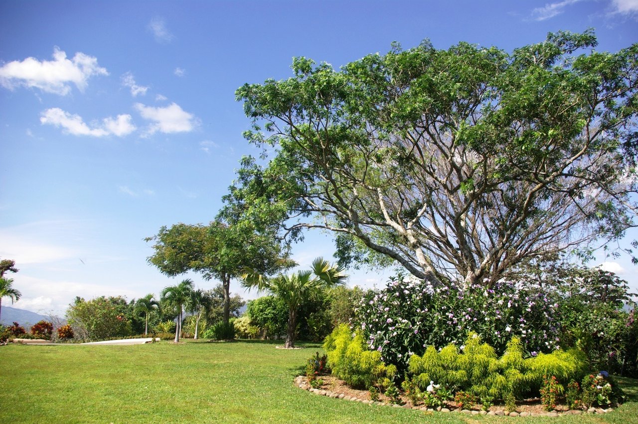 Luxurious Country Villa