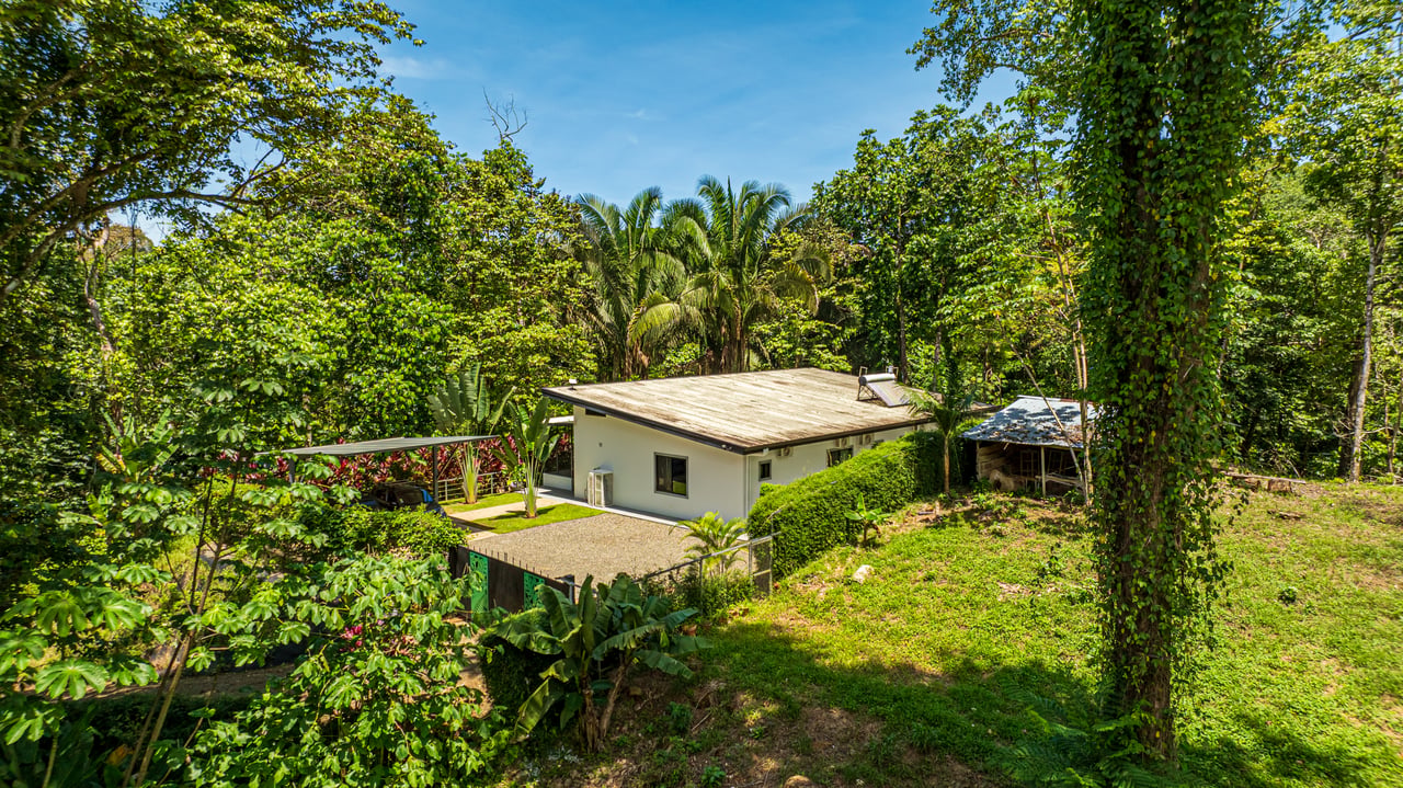 Cinco Ventanas Jungle Life Redefined