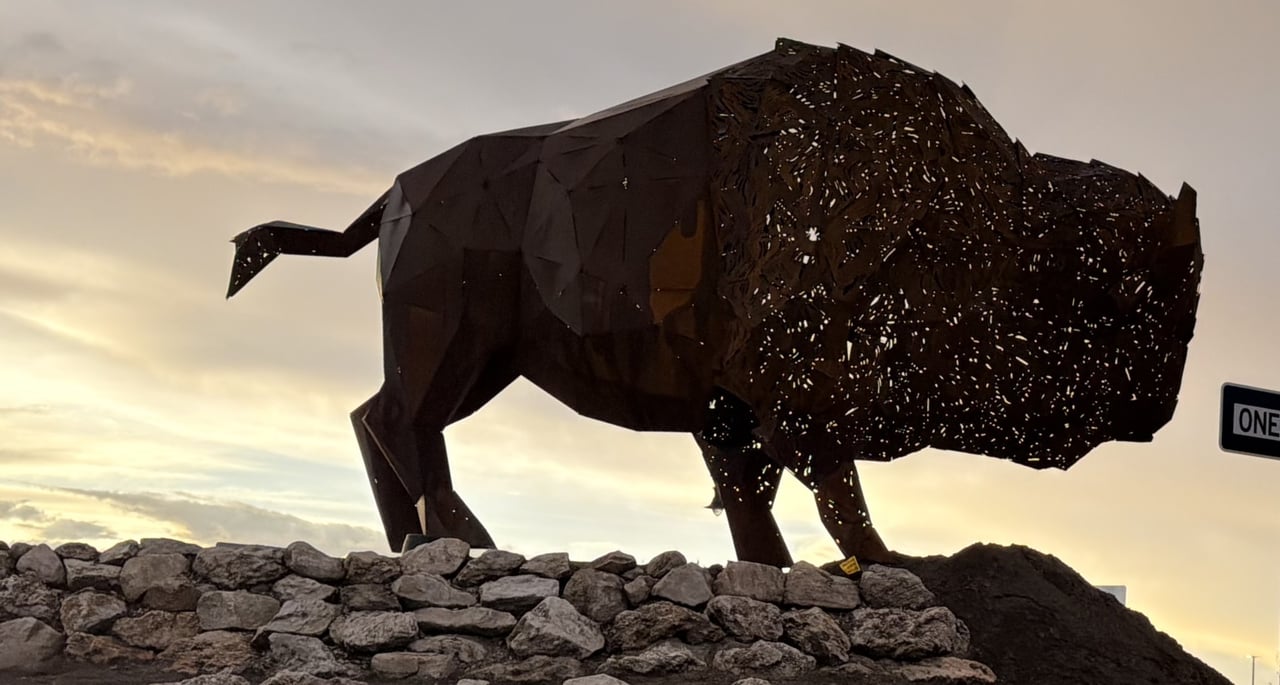 The Roundabout Bison Is a Preview, Not a Mascot