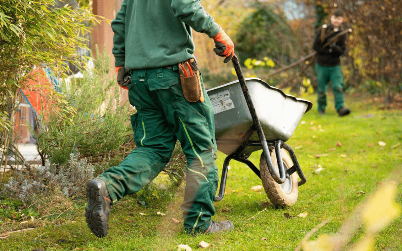 Top Landscape Tips to Improve Curb Appeal in Brentwood