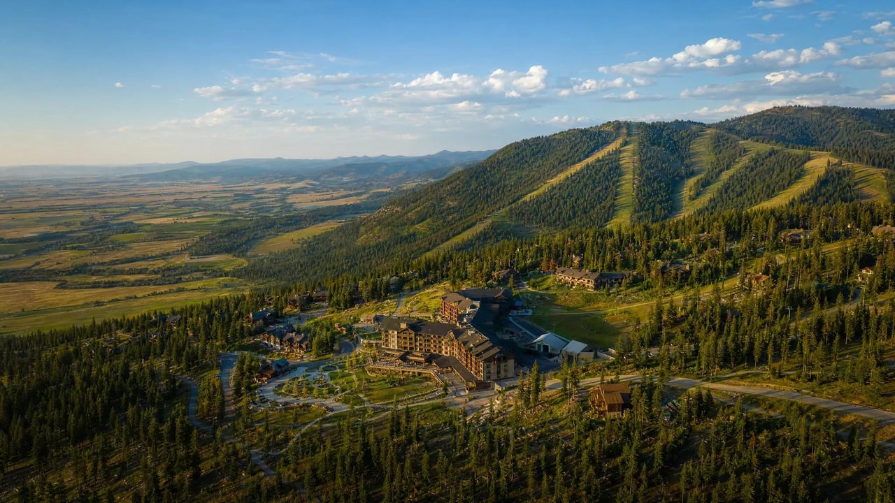 Tamarack