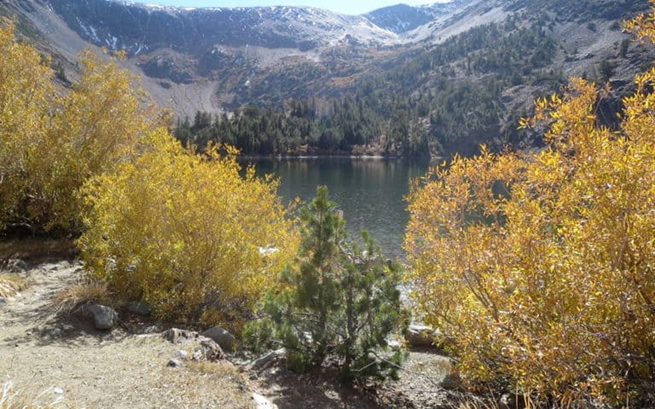 Mountain lake framed by golden autumn shrubs, with forested slopes and snow-dusted peaks beyond.