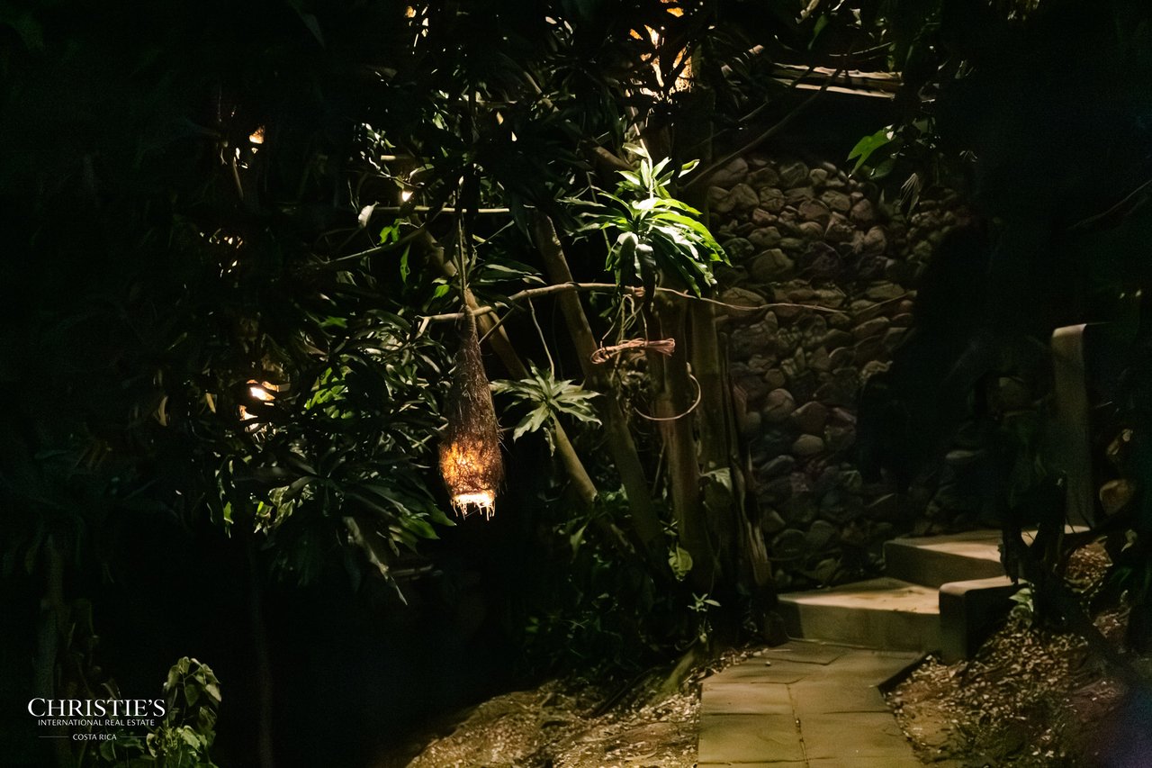 Villa Animales – Luxury Jungle Sanctuary