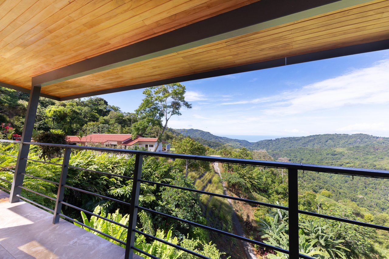 “NESTLED IN” LUXURY HOME AND GUEST HOUSE – A MOUNTAIN SANCTUARY – 3.4 ACRES