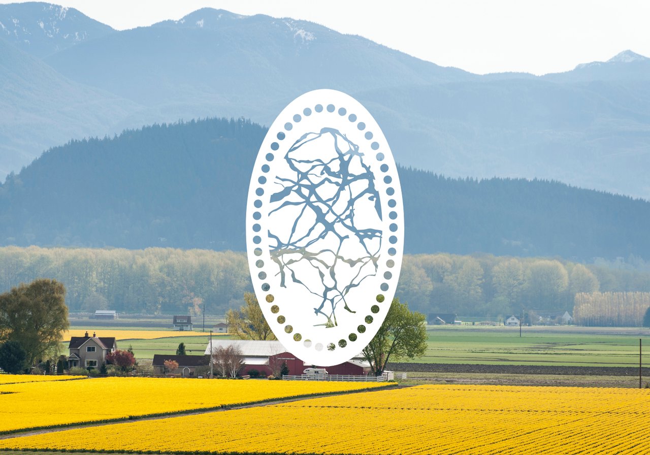 Living in Burlington, Washington: A Neighborhood Guide for Homebuyers