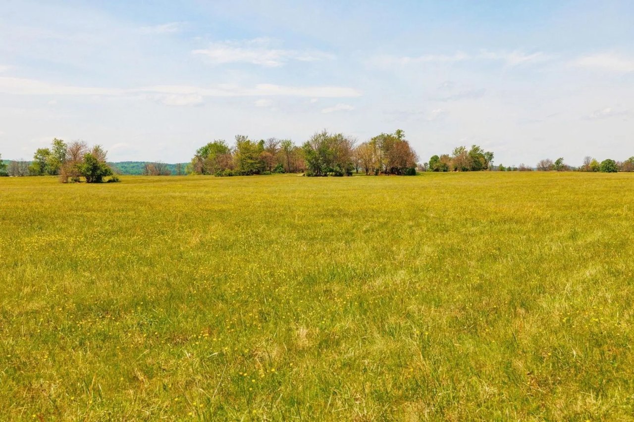 Open golden-green field with scattered trees along the horizon beneath a partly cloudy sky.