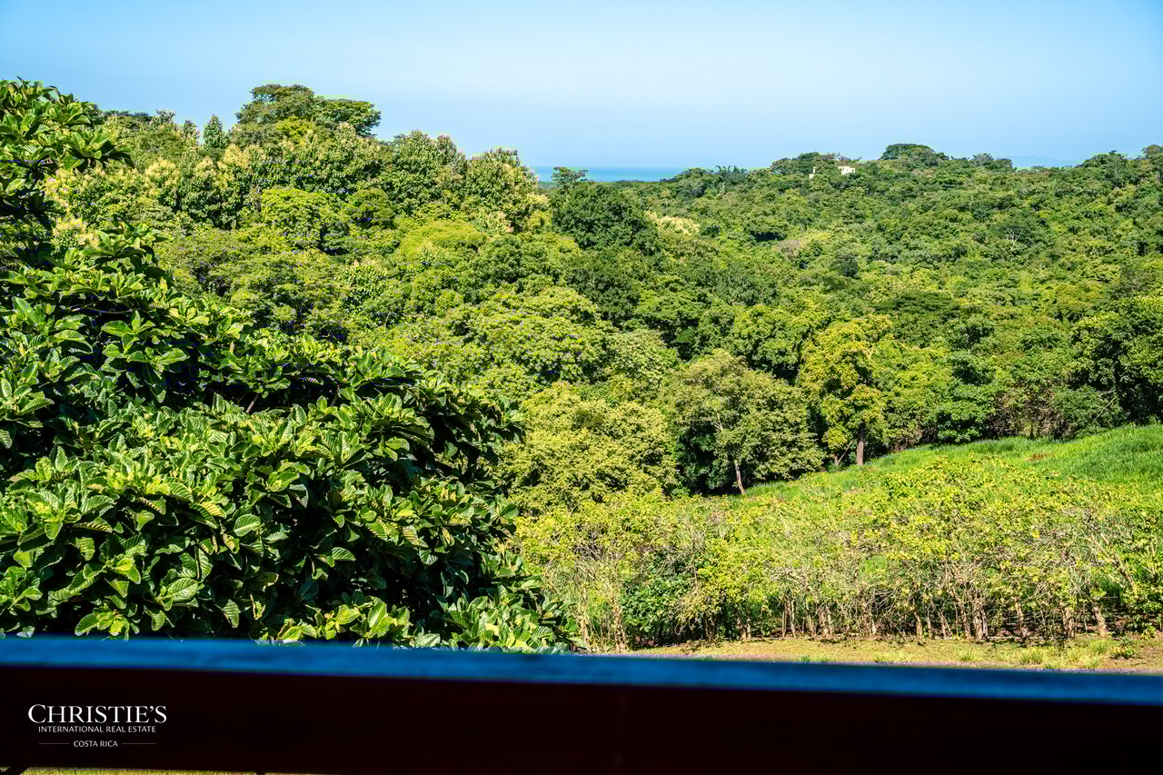 Finca Sweet Prince – A Private Equestrian Estate of Unmatched Elegance