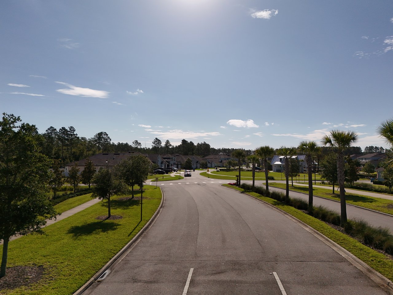 Residential street lined with homes and palm trees in Holly Forest at SilverLeaf.