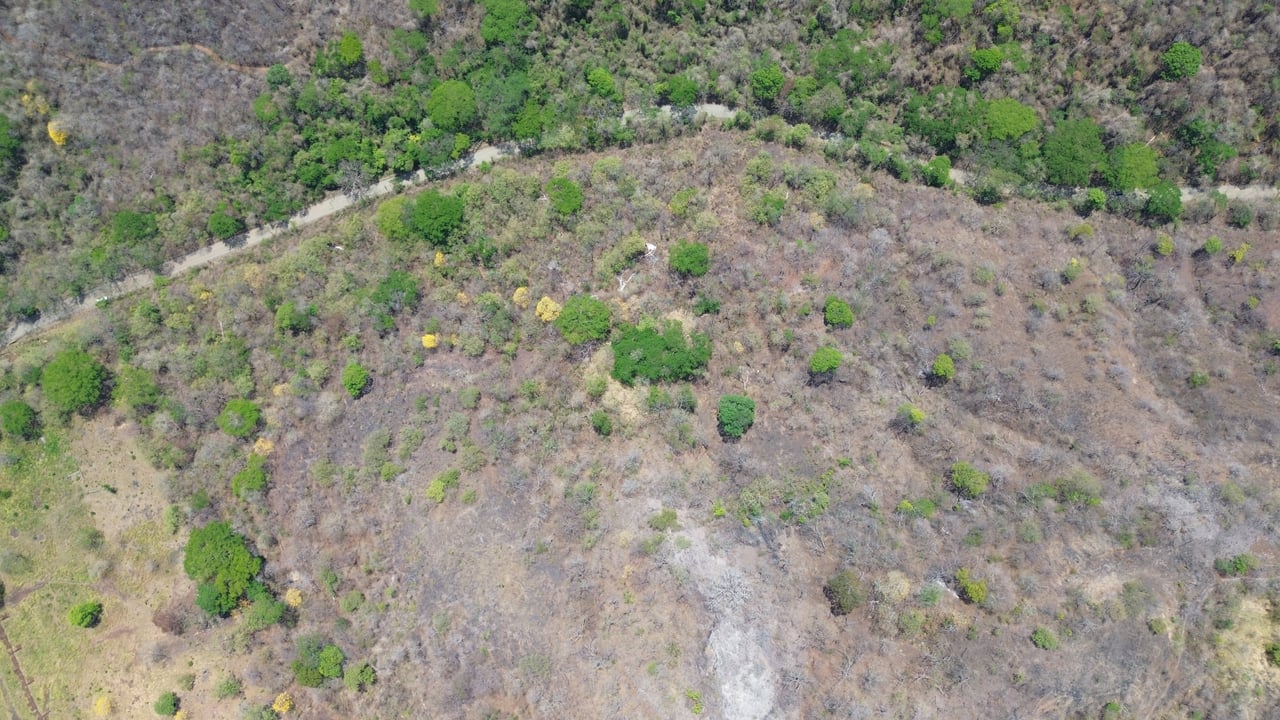10 HECTARES DEVELOPMENT OPPORTUNITY - PUERTO VIEJO CONCHAL