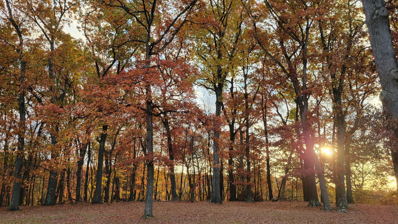 The Best Parks in Pittsburgh's North Hills