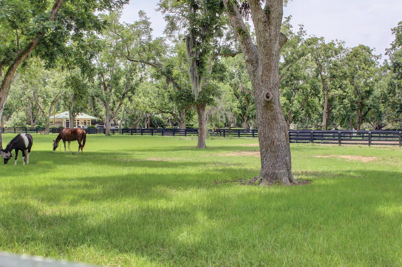 Moss Creek