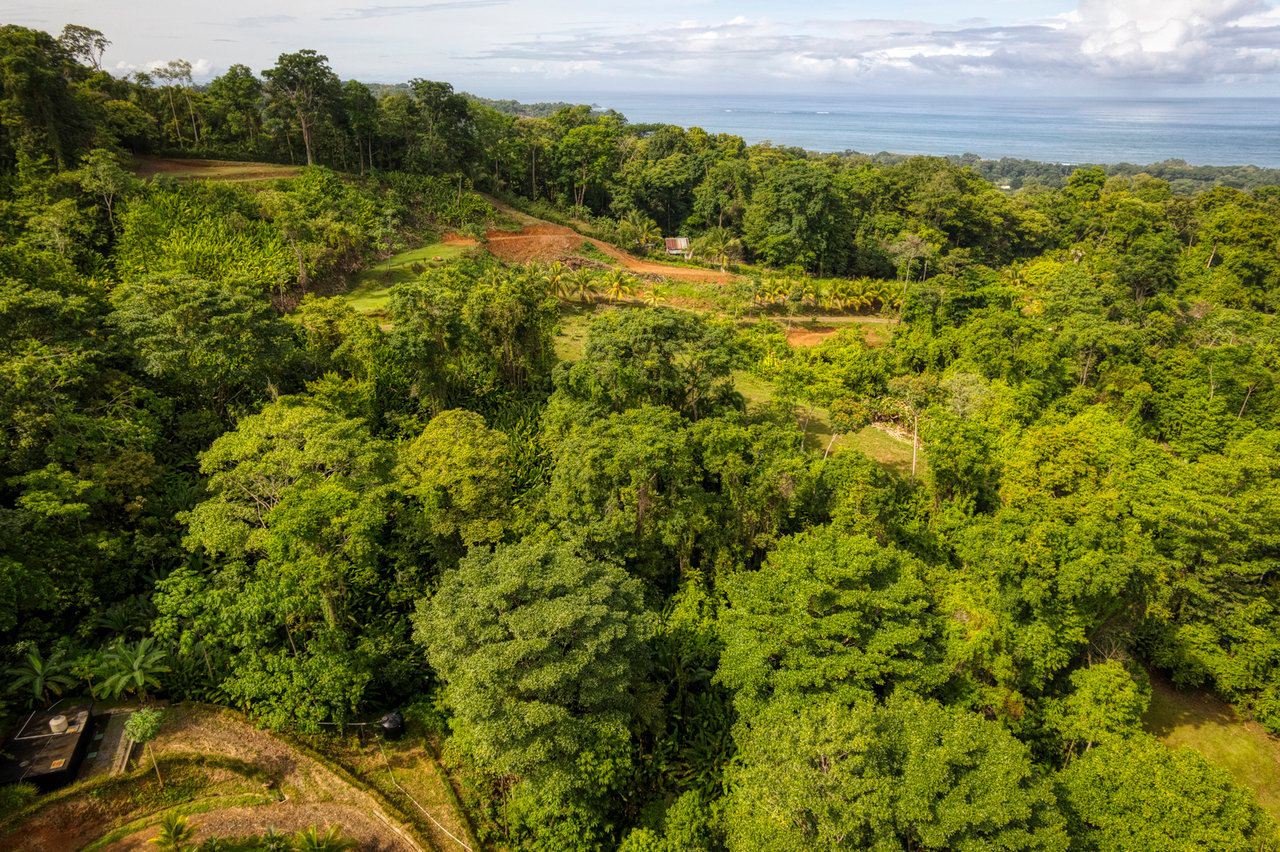 Sustainable Development Land, Uvita, Puntarenas