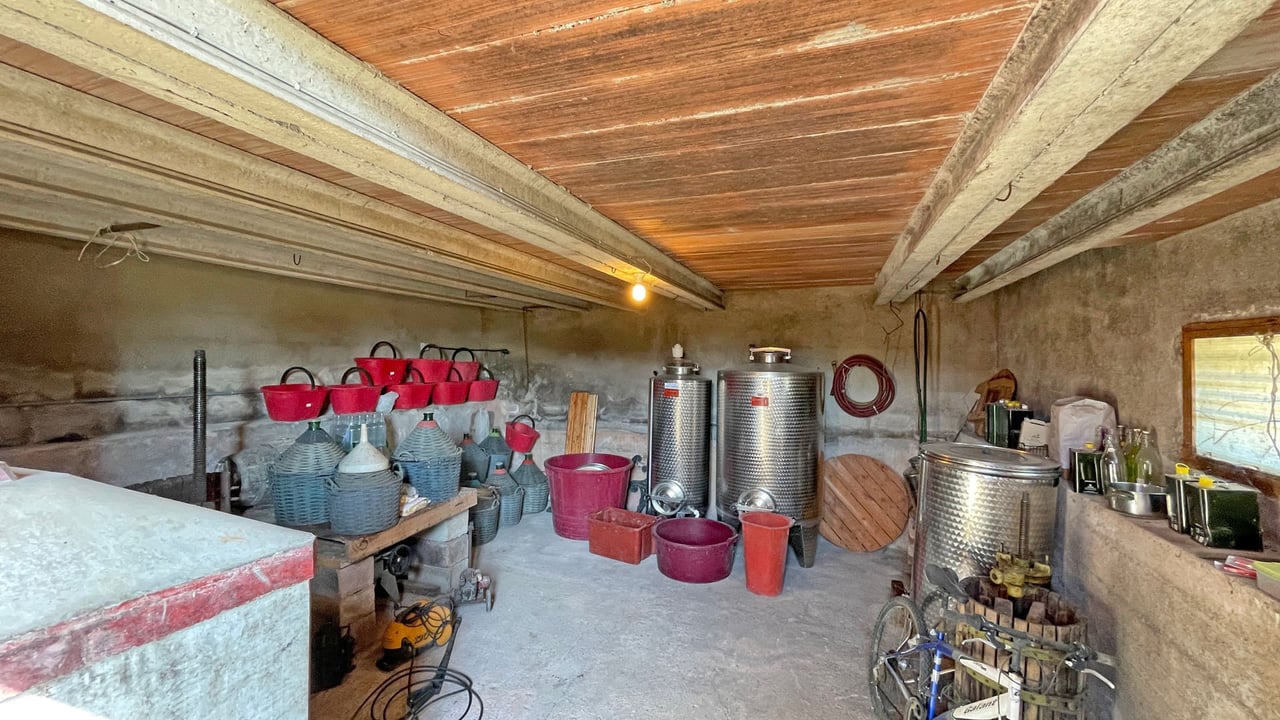 AZIENDA VITIVINICOLA ASCIANELLO