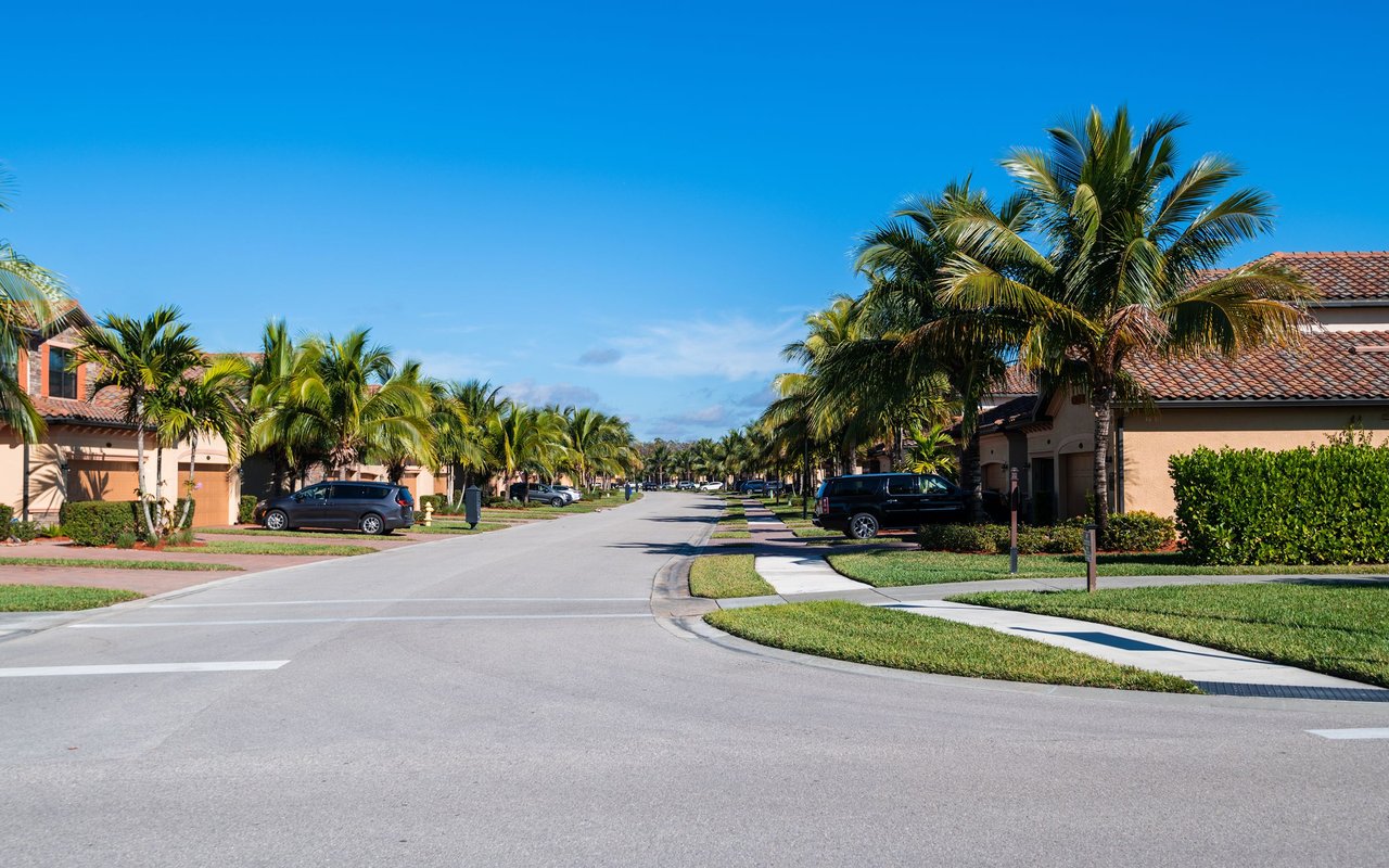 Palm City