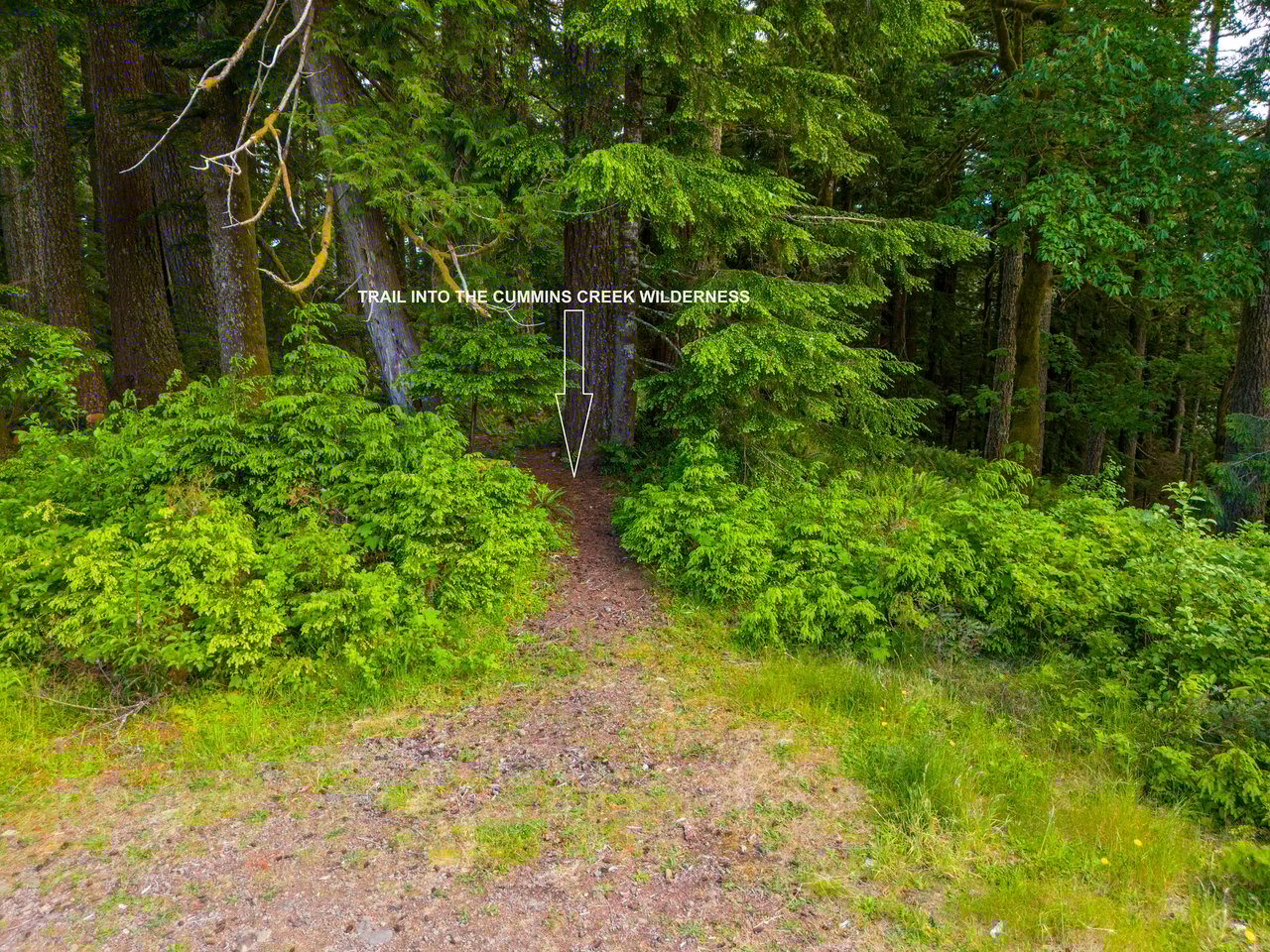 Cummins Creek Wilderness Overlook