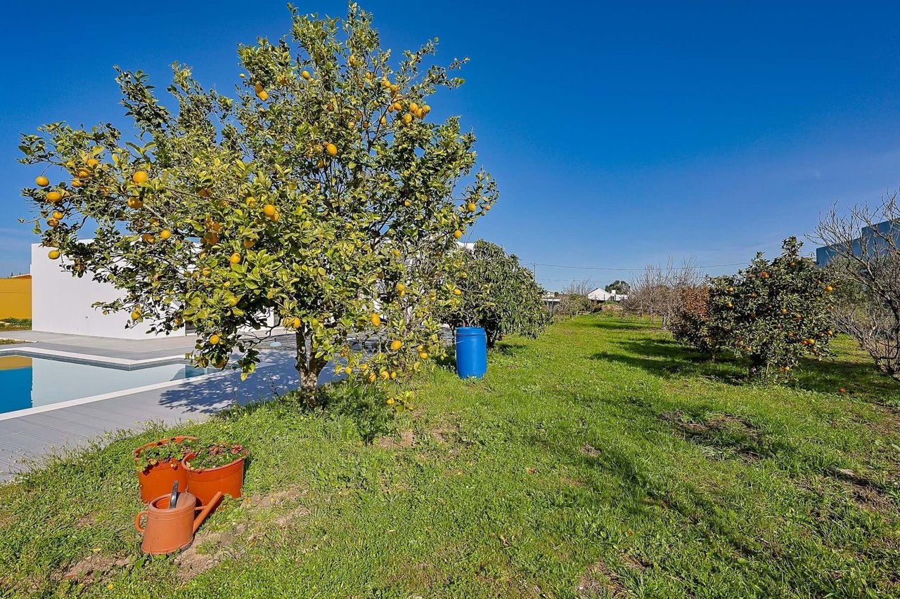 Luxurious 5-Bedroom Home with Pool and Panoramic Views Near Lisbon