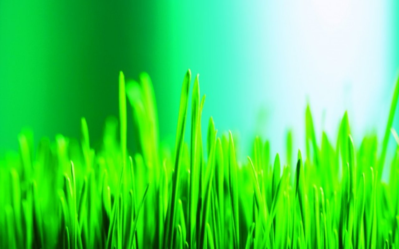 Greening your Home With Simple Lifestyle Changes