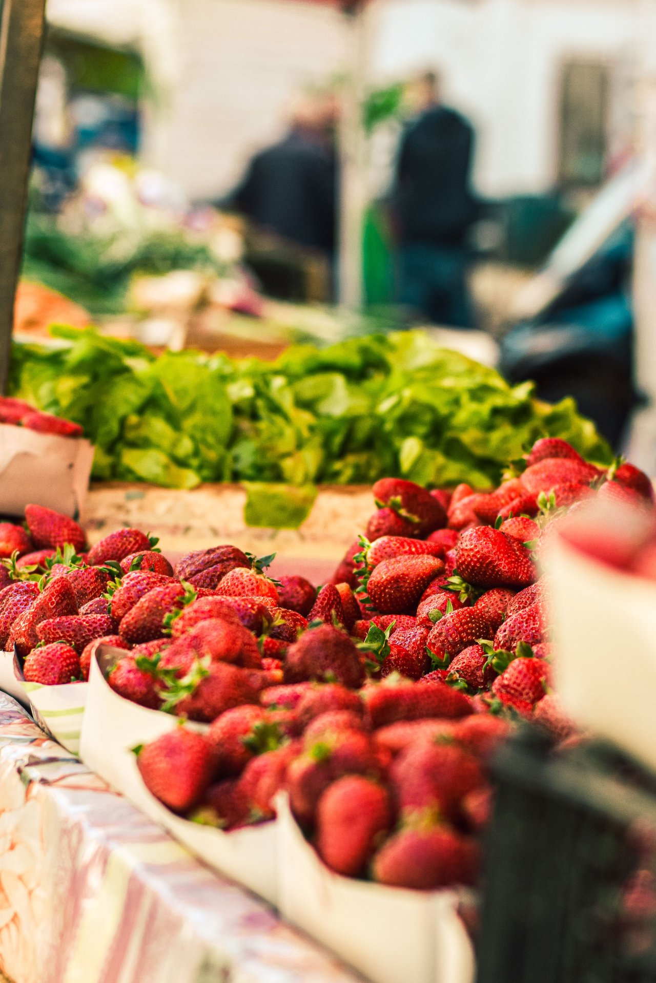 Best Farmers Markets in Alexandria, VA: Your Guide to Fresh Food, Local Favorites, and Community Living in 2026