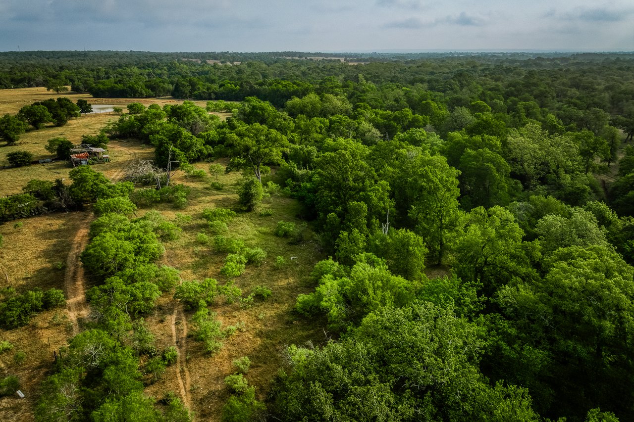 Revival Ranch TX