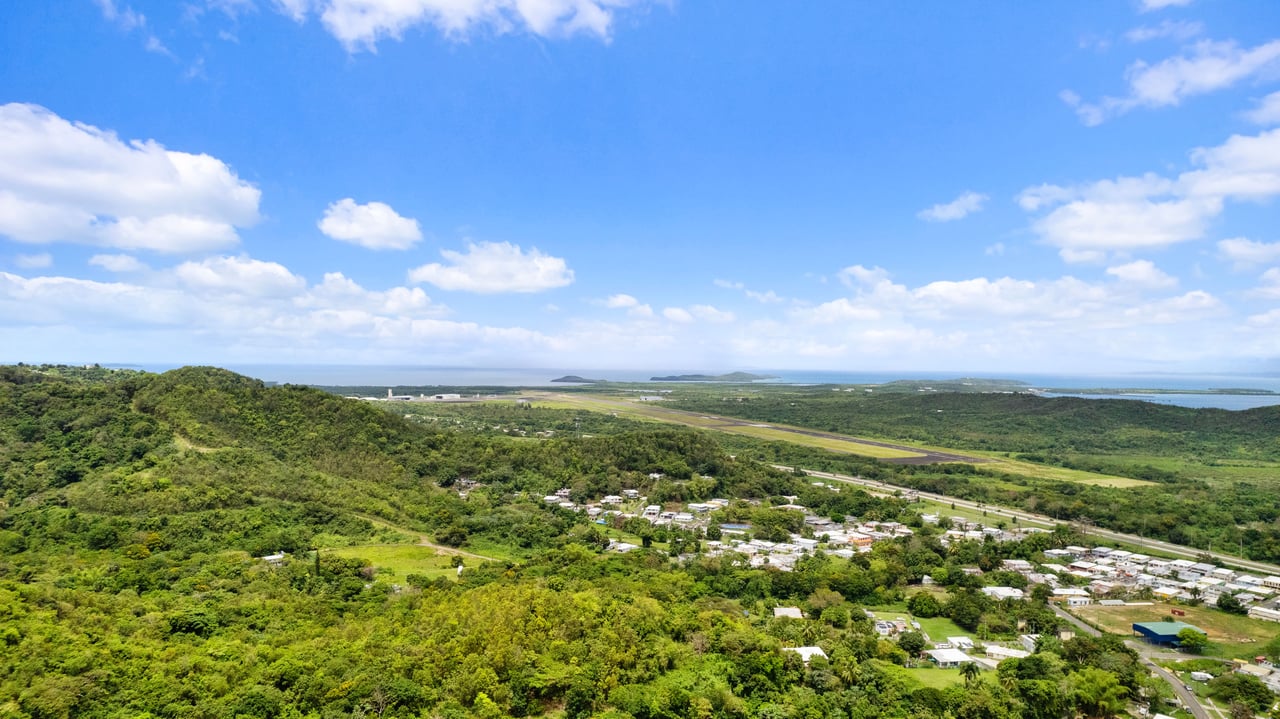 Carr. 3 Daguao | Ceiba, P.R.