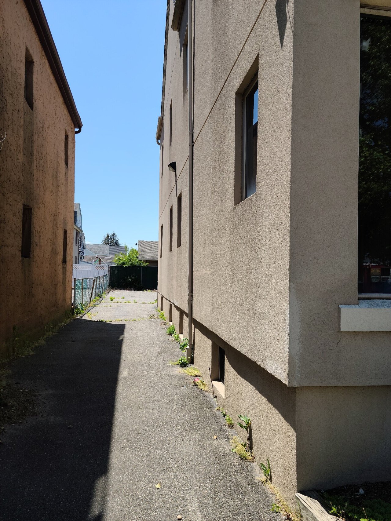 221 Mineola Blvd