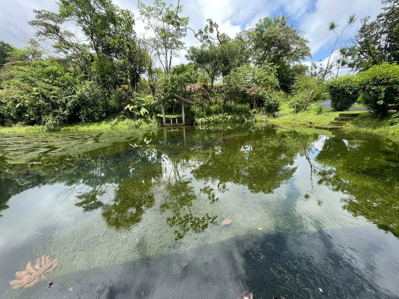 Adventure Tourism Development Land, Lake Arenal, Alajuela