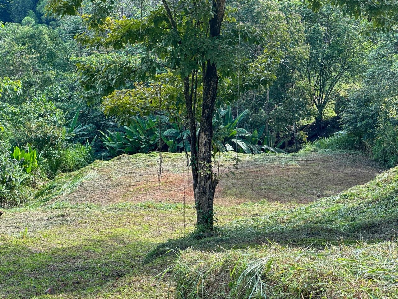 Waterfall Rainforest River Estate, Uvita, Puntarenas