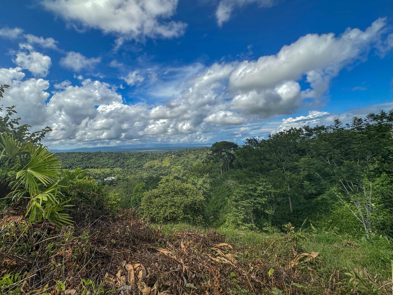 Ocean & Mountain View Half-Acre Lot in Gated Chontales Community