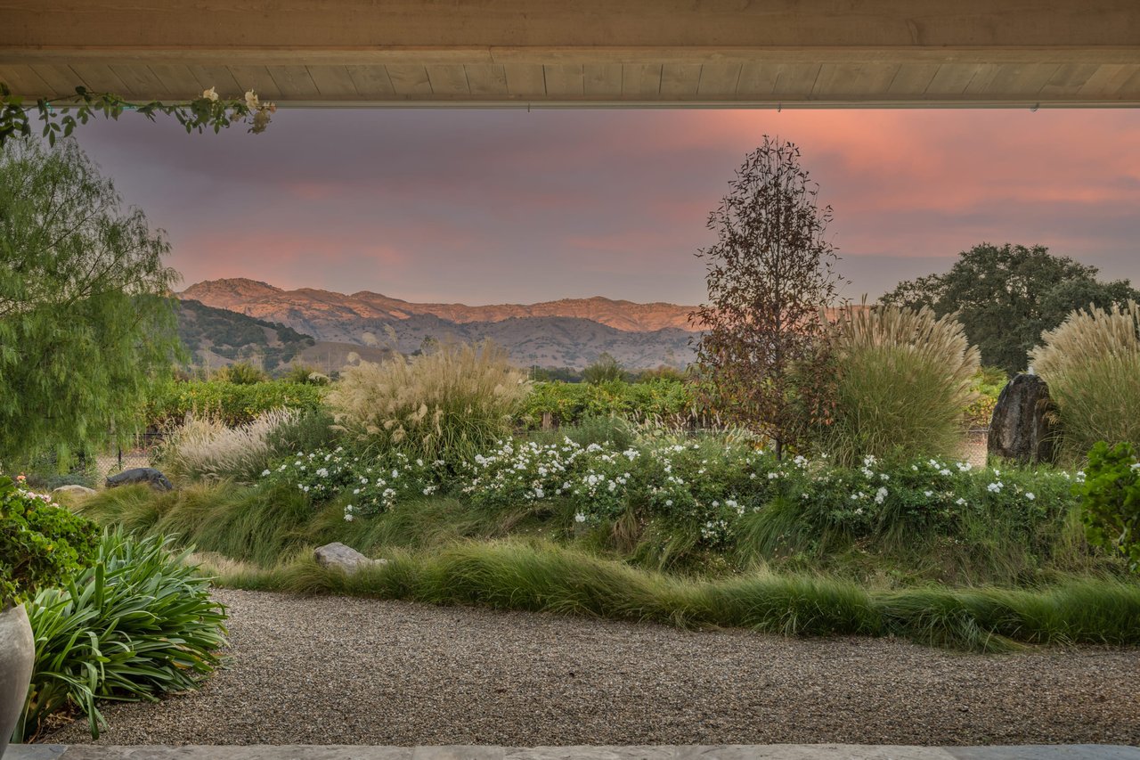 Napa Valley Vineyard Compound