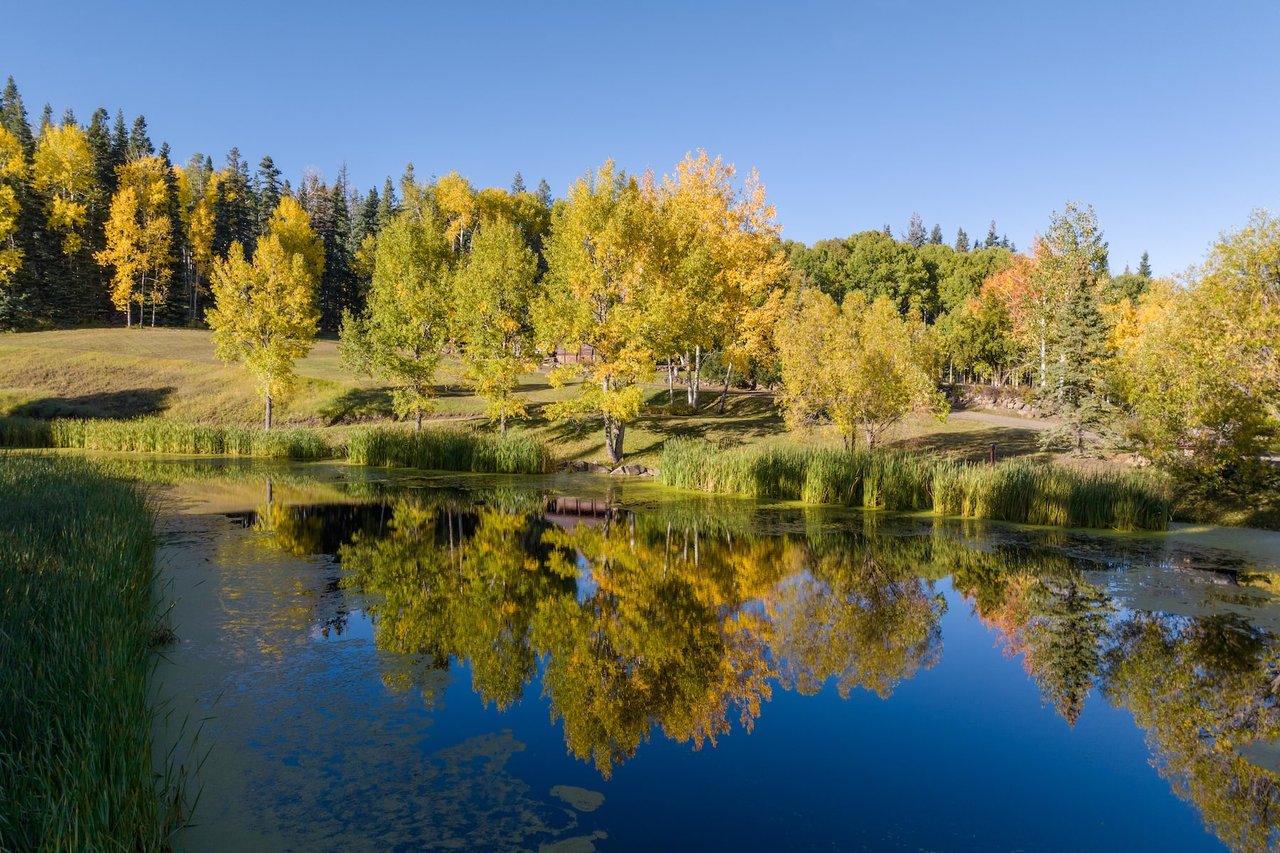 Mountain Bird Ranch