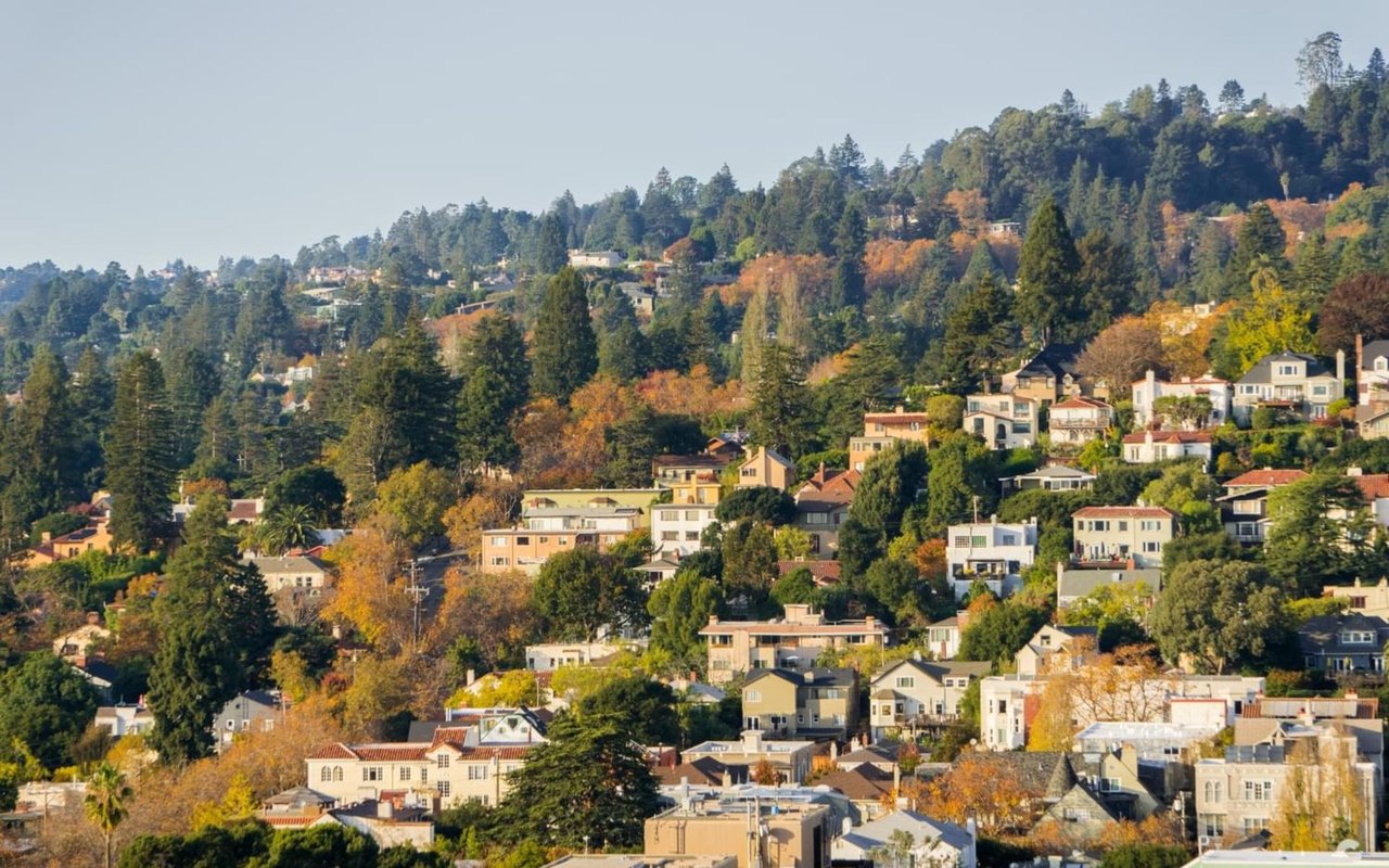 Berkeley Hills