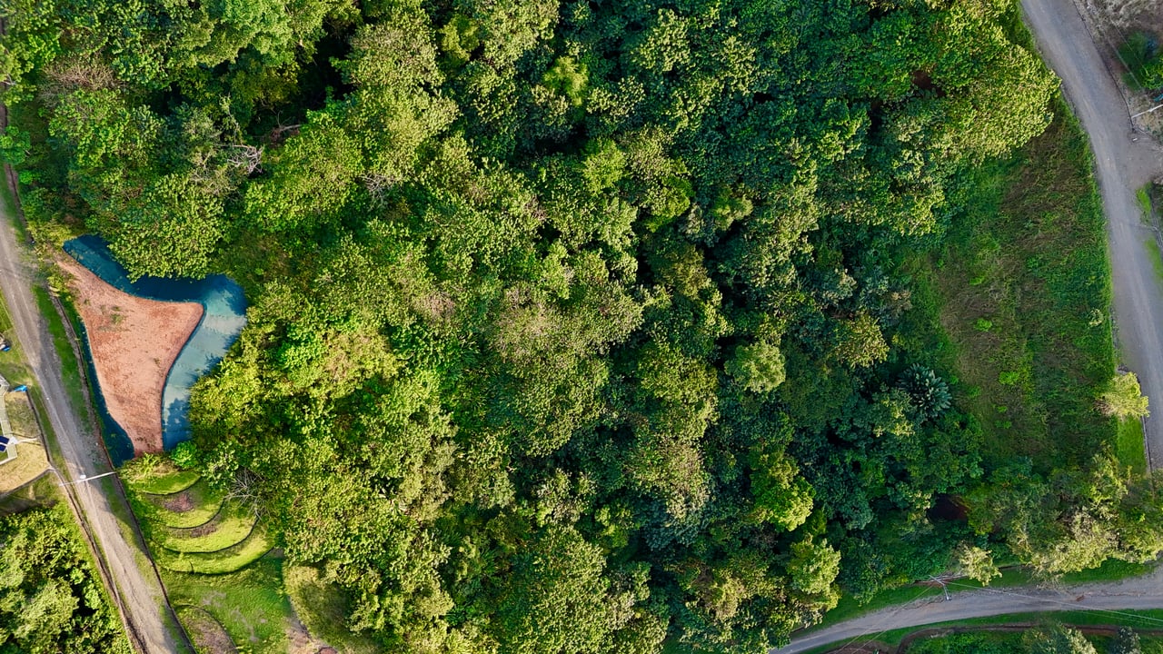 2.77-Acre Ocean View Lot in Phase 11 Ojochal – Ready to Build!