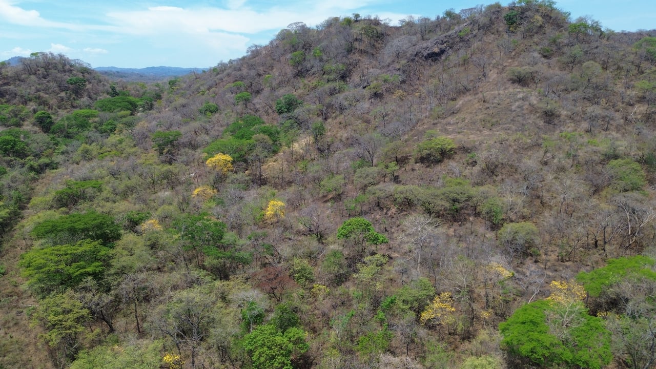 10 HECTARES DEVELOPMENT OPPORTUNITY - PUERTO VIEJO CONCHAL