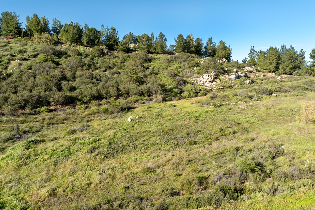 38355 Vista Del Bosque