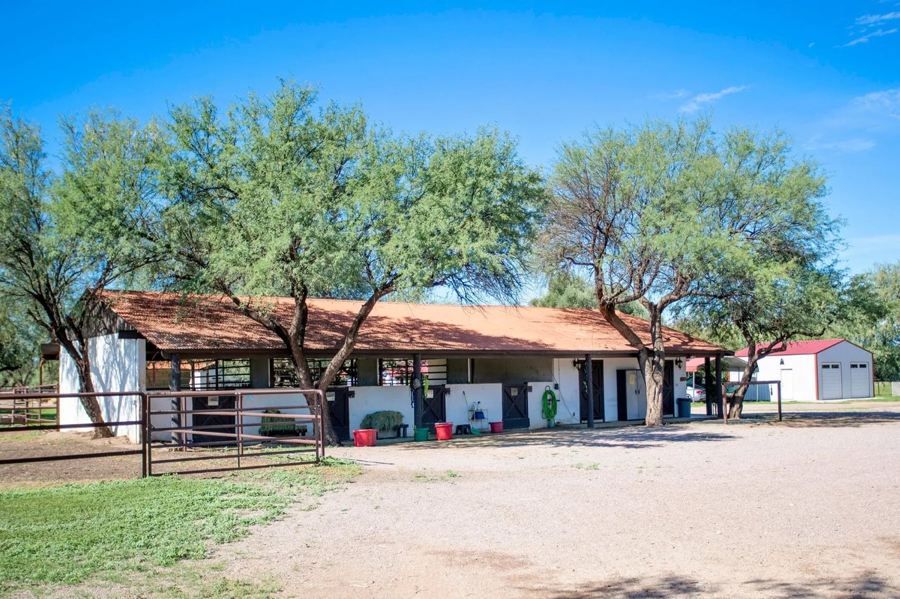 3155 W Elephant Head Rd