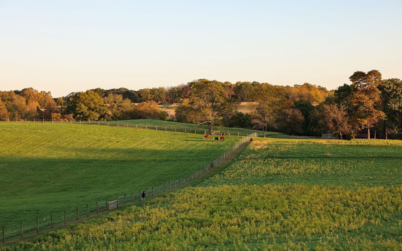 Chester County