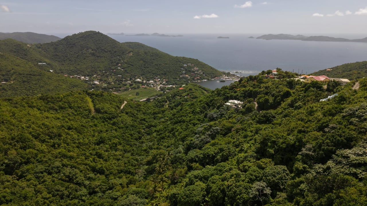 1084 Private Estate with Income