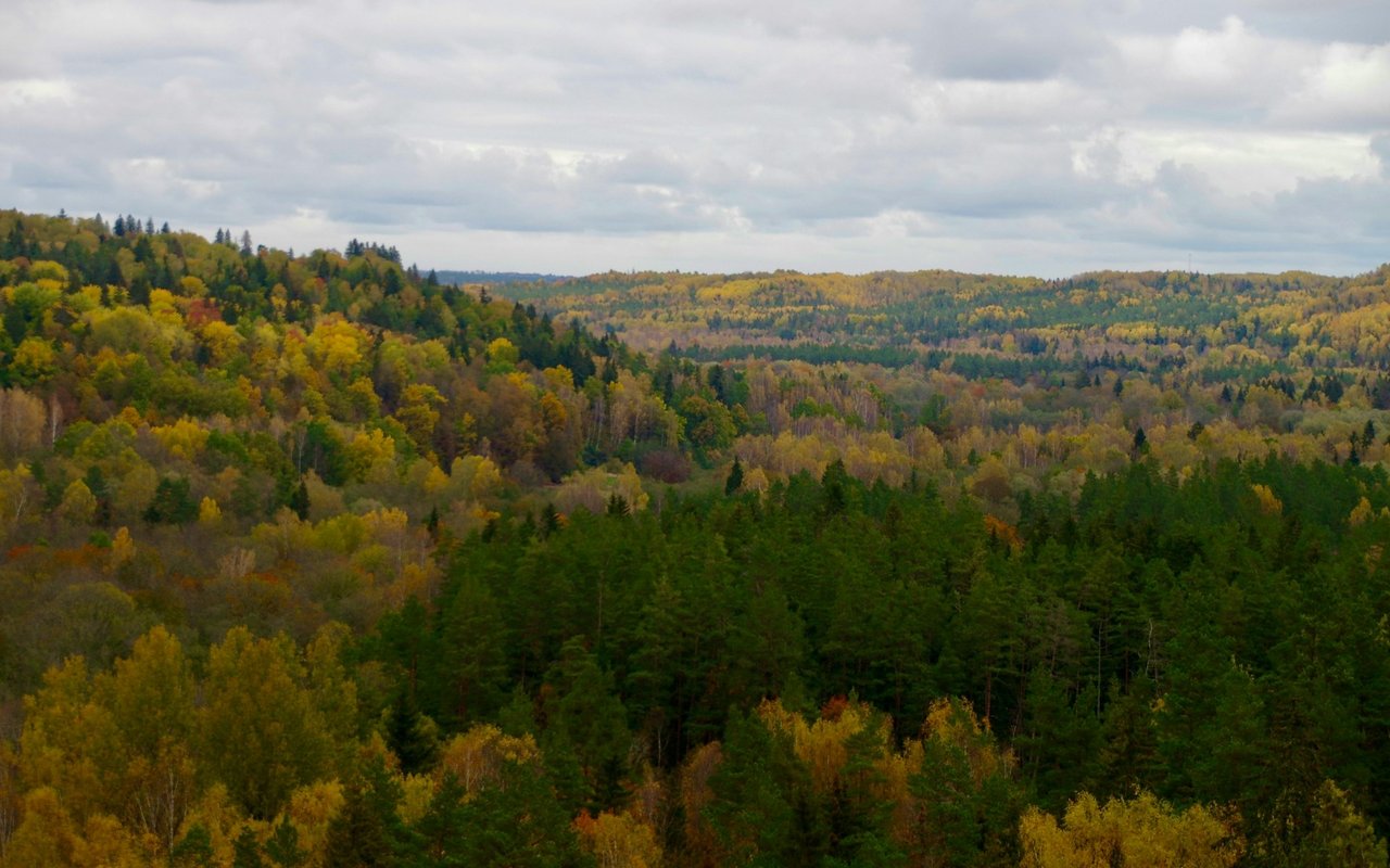 Carmel-Jack’s Peak
